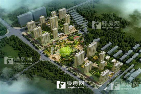 密州金东世纪城3室2厅2卫好楼层，全明户型，带附房